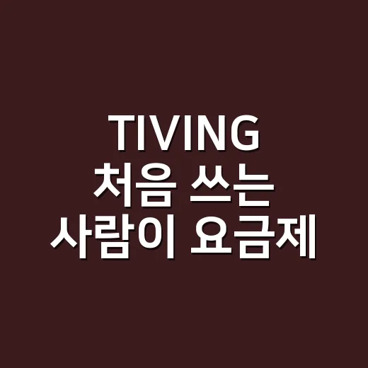 TIVING 처음 쓰는 사람이 요금제 고르는 방법 - 요약