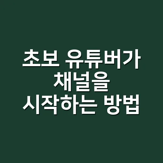 초보 유튜버가 채널을 시작하는 방법, 처음 30일은 이렇게 잡아보세요 - 요약