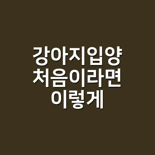 강아지입양 처음이라면 이렇게 준비하는 방법 - 요약
