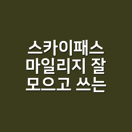스카이패스 마일리지 잘 모으고 쓰는 방법, 처음이면 이렇게 시작하세요 - 요약