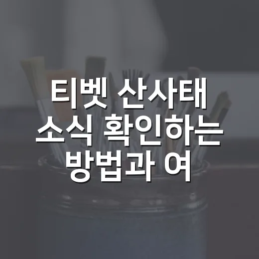 티벳 산사태 소식 …