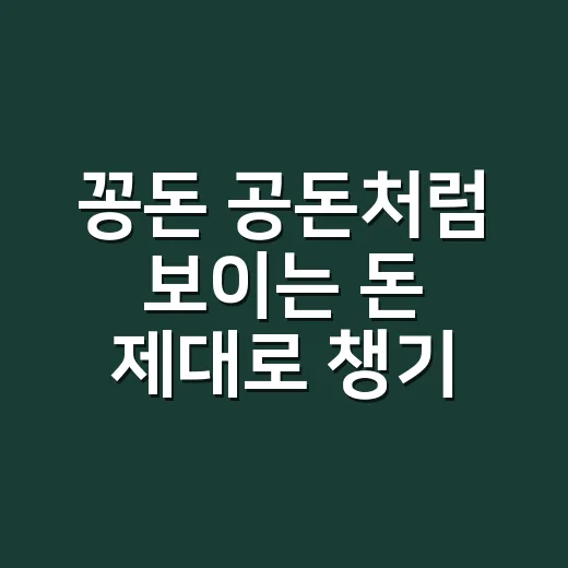 꽁돈 공돈처럼 보이는 돈 제대로 챙기는 방법 - 요약