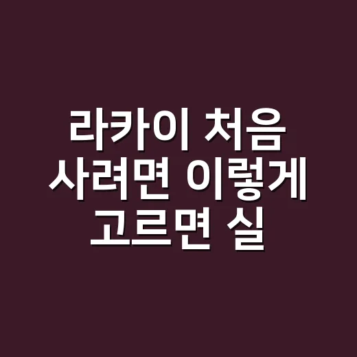 라카이 처음 사려면 이렇게 고르면 실패가 줄어요 - 요약