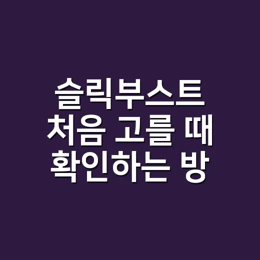 슬릭부스트 처음 고를 때 확인하는 방법 - 요약