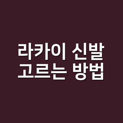 라카이 신발 고르는 방법, 처음 사려면 이렇게 보면 편해요 - 요약