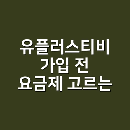 유플러스티비 가입 전 요금제 고르는 방법 - 요약