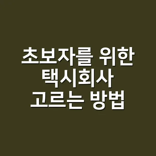 초보자를 위한 택시회사 고르는 방법 - 요약