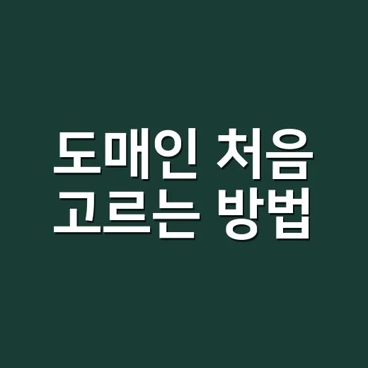 도매인 처음 고르는 방법, 블로그 주소 정할 때 이렇게 보면 편해요 - 요약