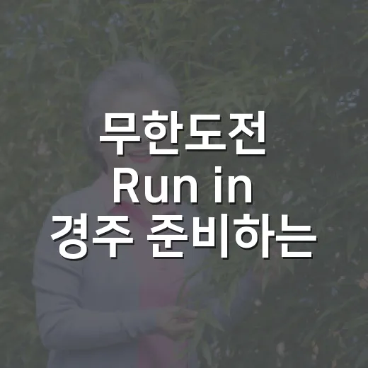 무한도전 Run in 경주 준비하는 방법, 처음 가도 덜 헤매는 체크리스트 - 요약