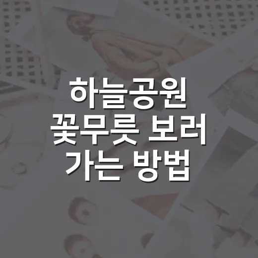 하늘공원 꽃무릇 보러 가는 방법, 초보자도 덜 헤매는 가을 산책 코스 - 요약