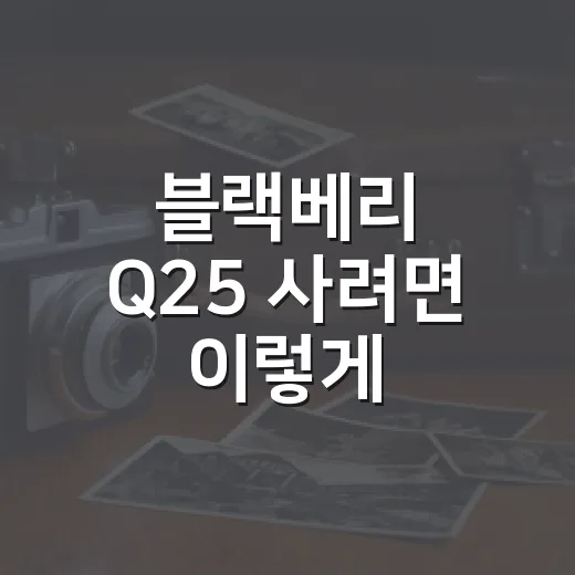 블랙베리 Q25 사려면 이렇게: 초보자를 위한 구매 체크법 - 요약