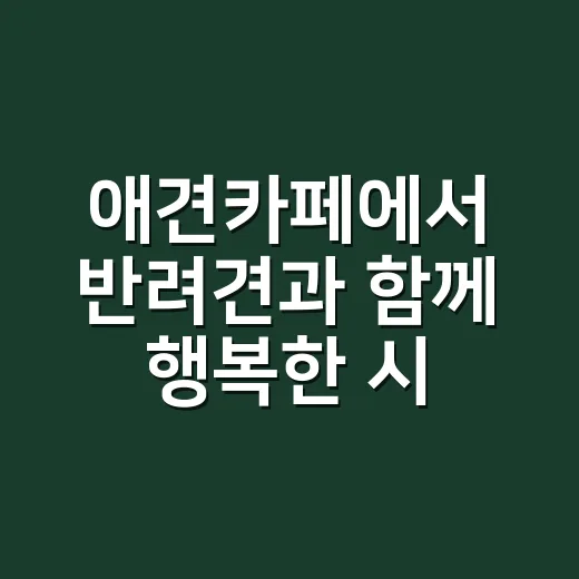 애견카페에서 반려견과 함께 행복한 시간 보내는 방법 - 요약