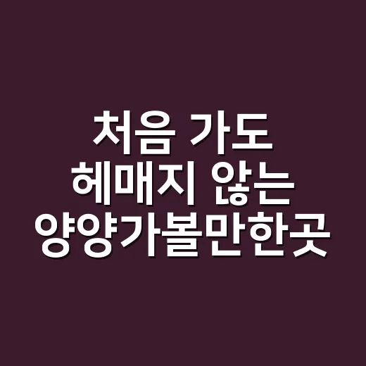 처음 가도 헤매지 않는 양양가볼만한곳 코스 짜는 방법 - 요약