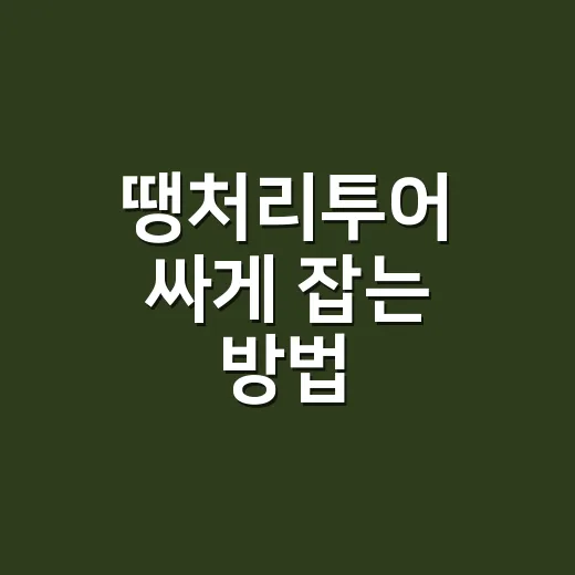 땡처리투어 싸게 잡는 방법, 출발 전 꼭 확인할 것들 - 요약