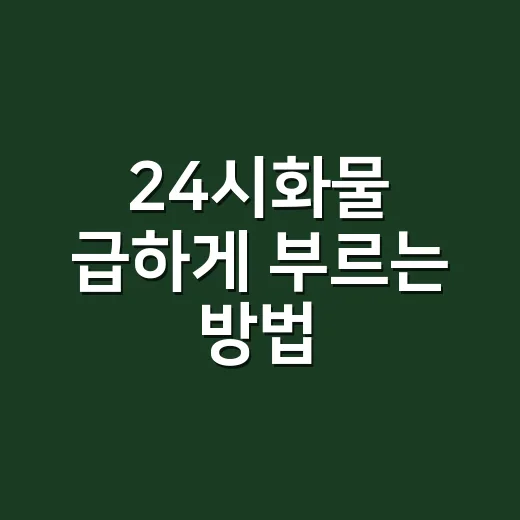 24시화물 급하게 부르는 방법, 밤에도 덜 헤매려면 이렇게 준비하세요 - 요약