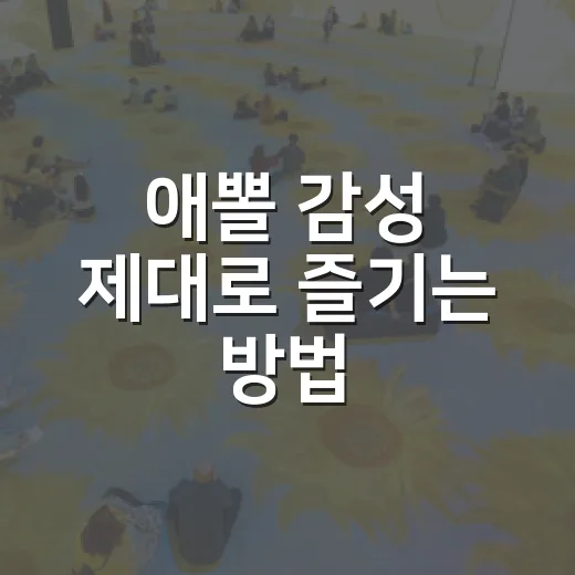 애뽈 감성 제대로 즐기는 방법, 처음 보는 사람도 빠져드는 포인트 - 요약