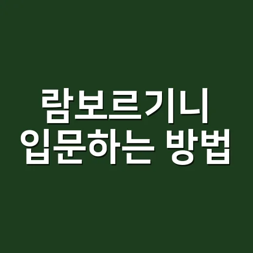 람보르기니 입문하는 방법, 모델 고르기 전에 보면 좋은 현실 체크 - 요약