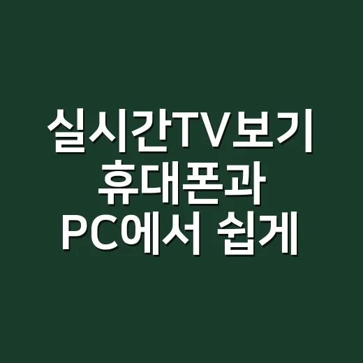 실시간TV보기 휴대폰과 PC에서 쉽게 하는 방법 - 요약