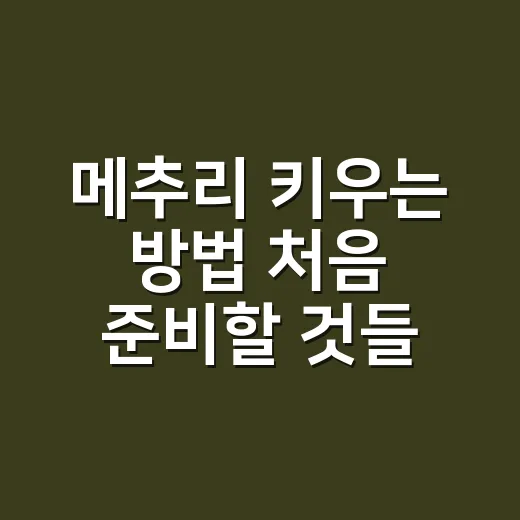 메추리 키우는 방법 처음 준비할 것들 - 요약
