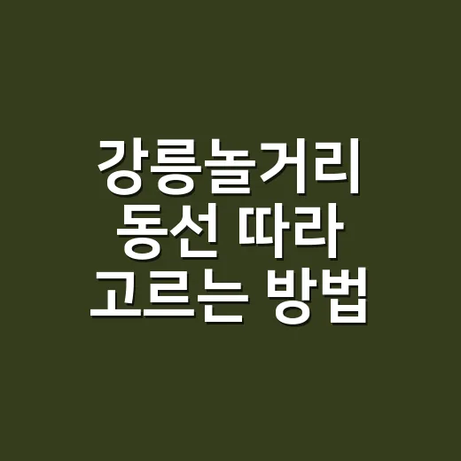 강릉놀거리 동선 따라 고르는 방법 - 요약