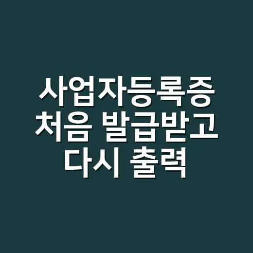사업자등록증 처음 발급받고 다시 출력하는 방법 - 요약