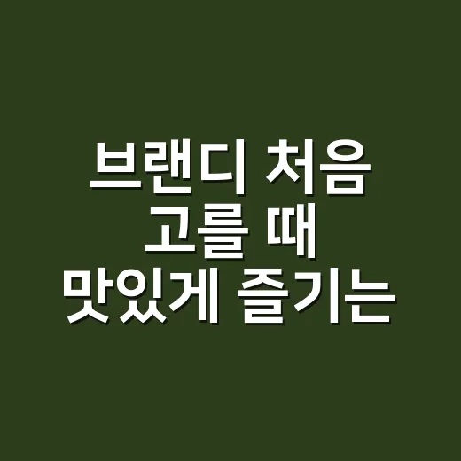 브랜디 처음 고를 때 맛있게 즐기는 방법 - 요약