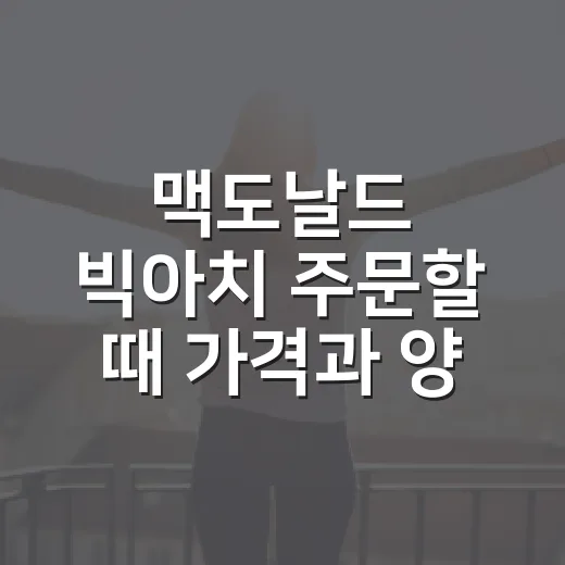 맥도날드 빅아치 주문할 때 가격과 양 고르는 방법 - 요약