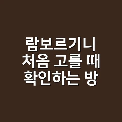 람보르기니 처음 고를 때 확인하는 방법 - 요약