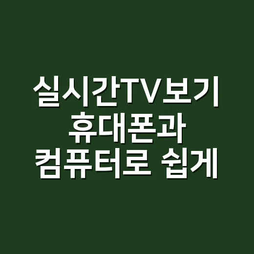 실시간TV보기 휴대폰과 컴퓨터로 쉽게 하는 방법 - 요약