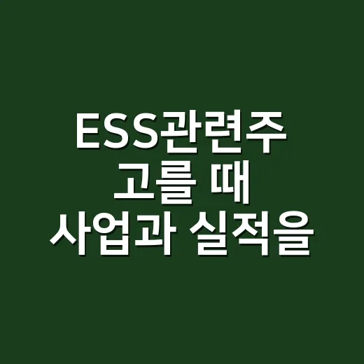 ESS관련주 고를 때 사업과 실적을 확인하는 방법 - 요약