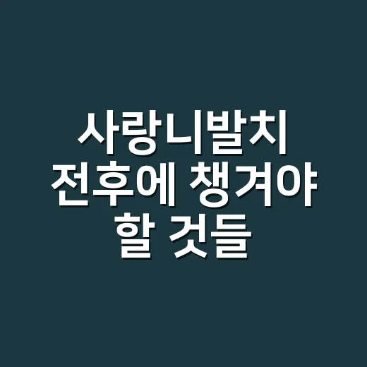 사랑니발치 전후에 챙겨야 할 것들 - 요약