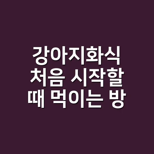 강아지화식 처음 시작할 때 먹이는 방법 - 요약