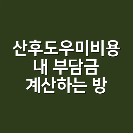 산후도우미비용 내 부담금 계산하는 방법 - 요약