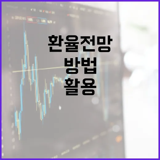 환율 전망을 이해하고 활용하는 방법 - 요약