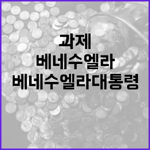 베네수엘라 대통령의 역할과 도전 과제를 알아보자 - 요약
