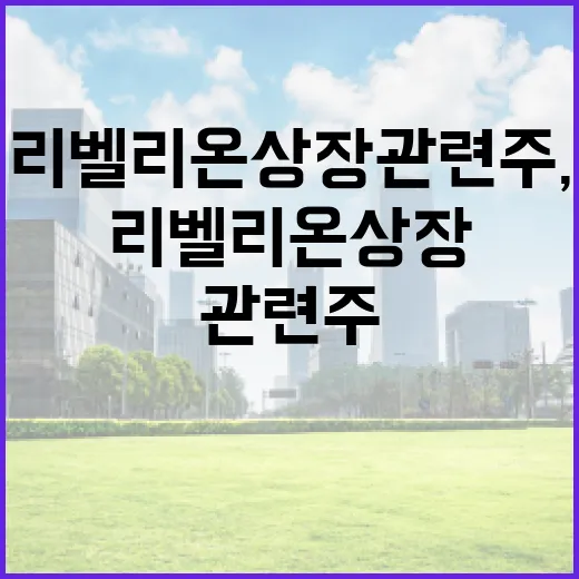 리벨리온 상장 관련주, 이렇게 준비해보세요 - 요약
