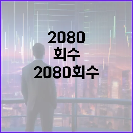 2080 회수: 알아두면 좋은 꿀팁 - 요약