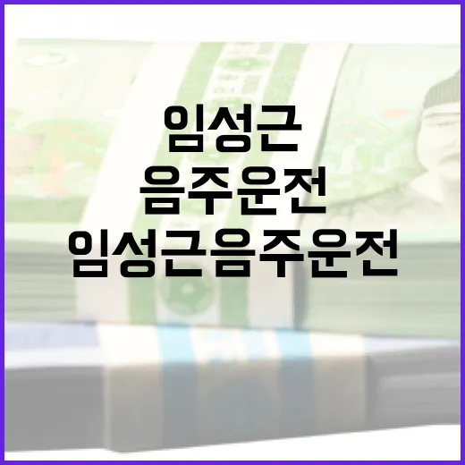 임성근 음주운전 문제를 이해하고 예방하는 방법 - 요약