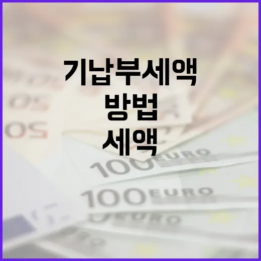 기납부세액 제대로 이해하고 활용하는 방법 - 요약