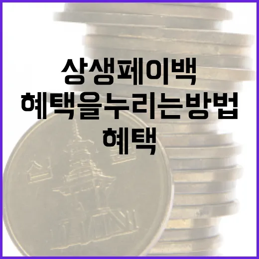 상생페이백을 통해 경제적 혜택을 누리는 방법 - 요약