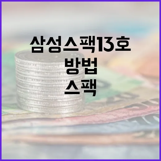 삼성스팩13호에 투자하는 방법 - 요약