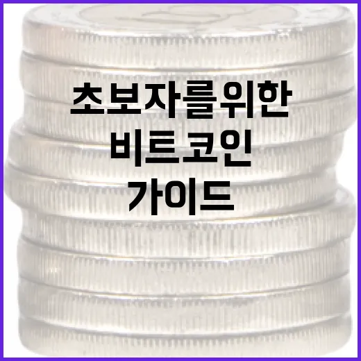 비트코인을 시작하는 방법: 초보자를 위한 가이드 - 요약