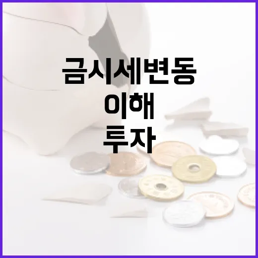 금시세 변동을 이해하고 투자하는 방법 - 요약