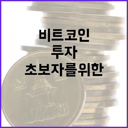 비트코인에 투자하는 방법: 초보자를 위한 가이드 - 요약