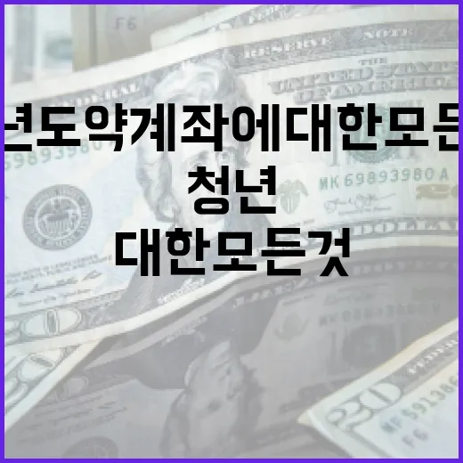 청년도약계좌에 대한 모든 것: 시작하는 방법 - 요약