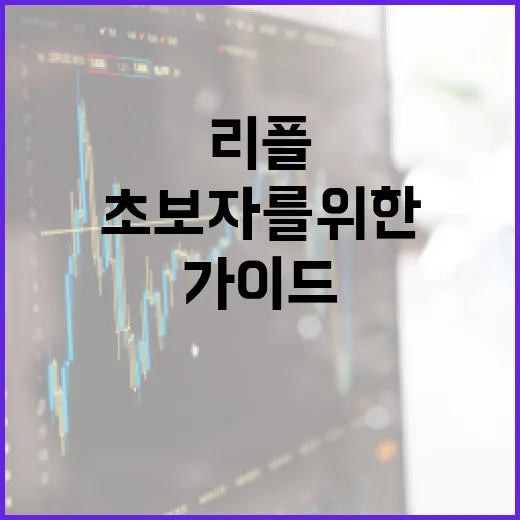 리플을 이해하고 활용하는 방법: 초보자를 위한 가이드 - 요약