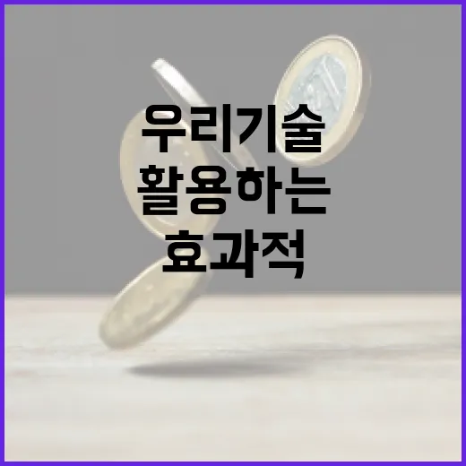 우리기술을 효과적으로 활용하는 방법 - 요약