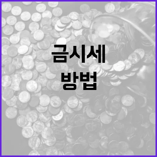 금시세를 이해하고 활용하는 방법 - 요약