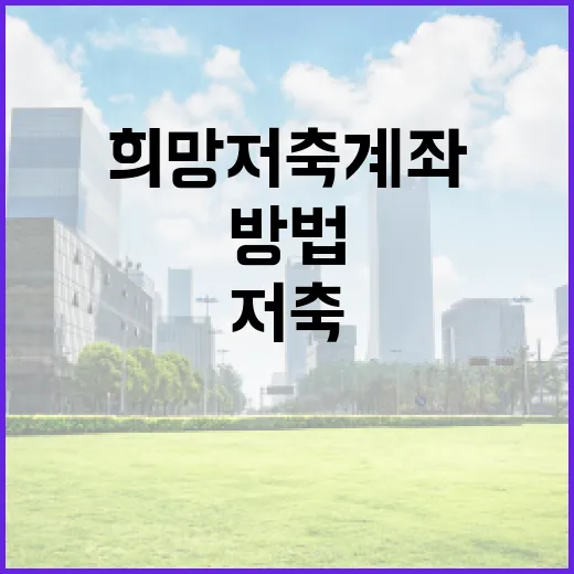 희망저축계좌를 활용하는 방법: 미래를 위한 스마트한 재테크 전략 - 요약