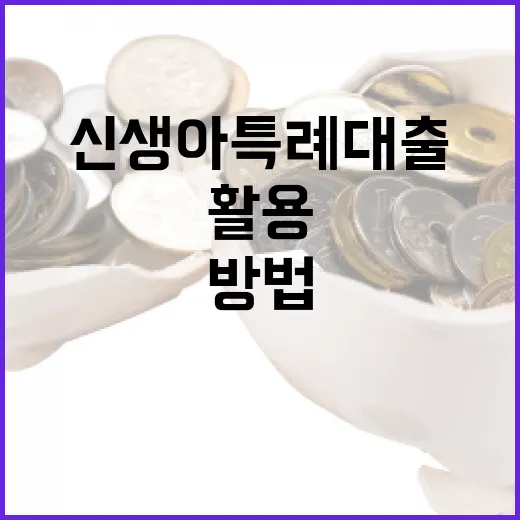 신생아 특례대출을 이해하고 활용하는 방법 - 요약